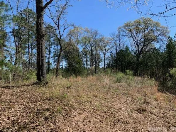 149 Christmas Tree Lane, Bismarck, AR 71929