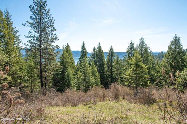 L401 W Mylonite Dr, Coeur d'Alene, ID 83814