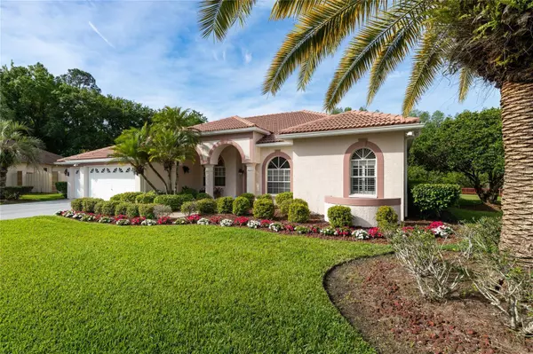 21312 PRESERVATION DR, Land O Lakes, FL 34638