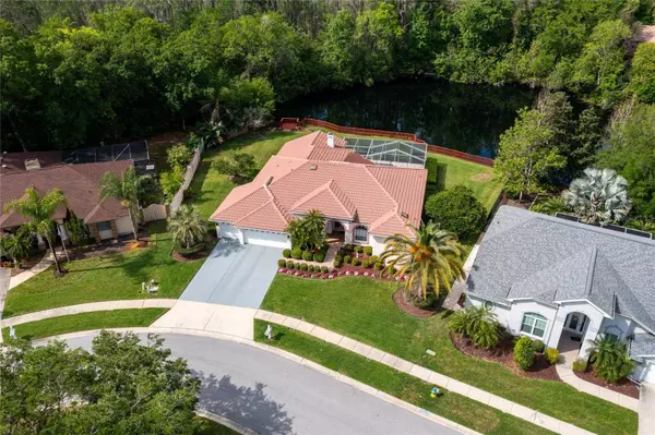 21312 PRESERVATION DR, Land O Lakes, FL 34638