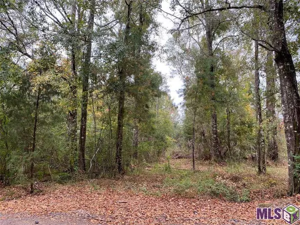 27184 N HORSESHOE RD, Independence, LA 70443