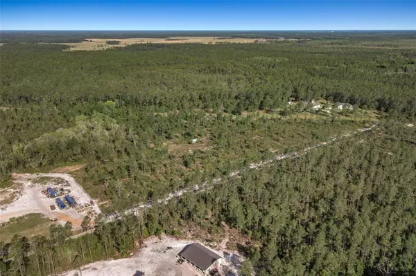 0 NE 150TH AVE RD, Fort Mc Coy, FL 32134