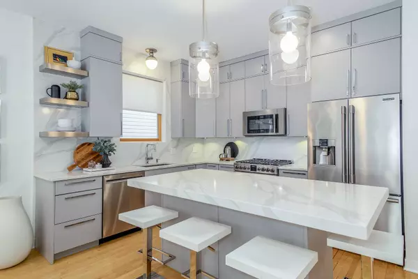 1036 N Wolcott AVE #1, Chicago, IL 60622