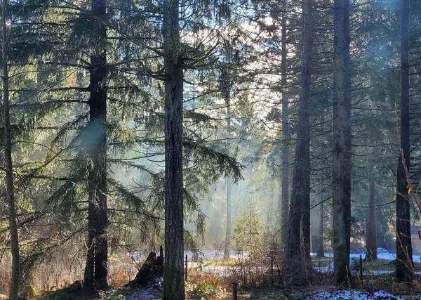 1774 Cameron Cres, Qualicum Beach, BC V9K 2S3