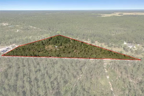 0 NE 150TH AVE RD, Fort Mc Coy, FL 32134