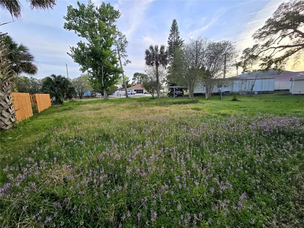 1157 MILLBROOK AVE, Port Orange, FL 32127