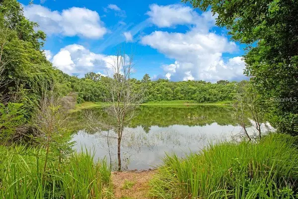 1624 GREENS DAIRY RD, Deland, FL 32720