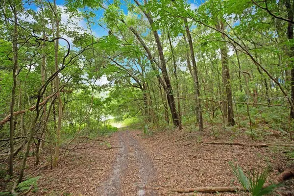 1624 GREENS DAIRY RD, Deland, FL 32720