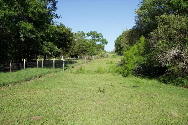 TBD Saint Delight Rd, Paige, TX 78659