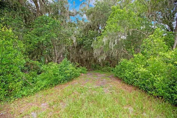 1624 GREENS DAIRY RD, Deland, FL 32720