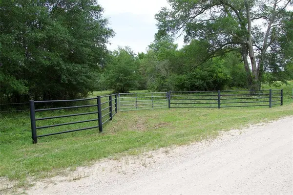 TBD Saint Delight Rd, Paige, TX 78659