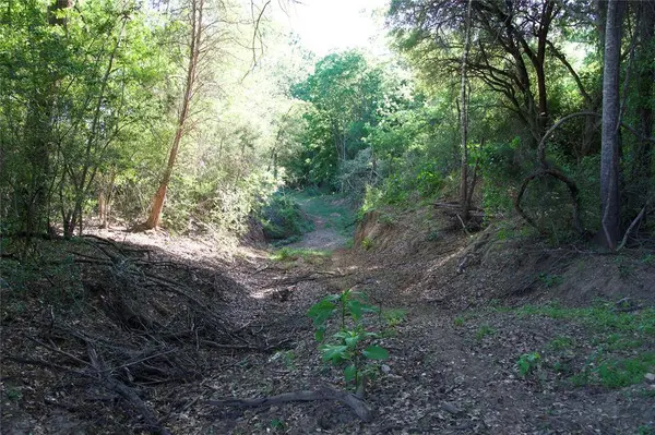 TBD Saint Delight Rd, Paige, TX 78659