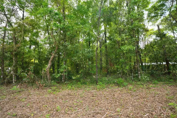 282ND TER, Branford, FL 32008