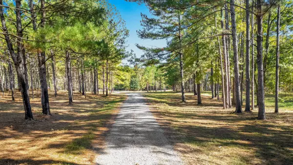 380 Anderson (land option 3) Rd, Hattiesburg, MS 39401