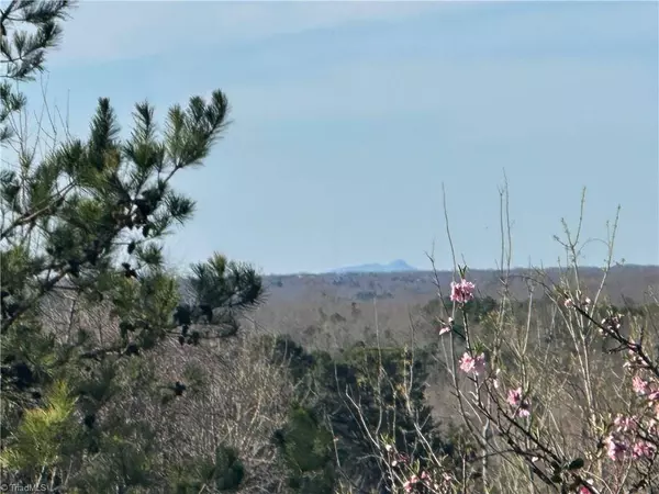 3453 Nc Highway 47, Lexington, NC 27292