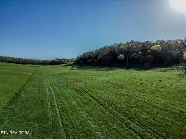 3110 Salem Rd, Parrottsville, TN 37843