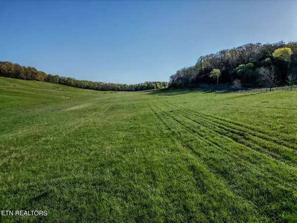 3110 Salem Rd, Parrottsville, TN 37843