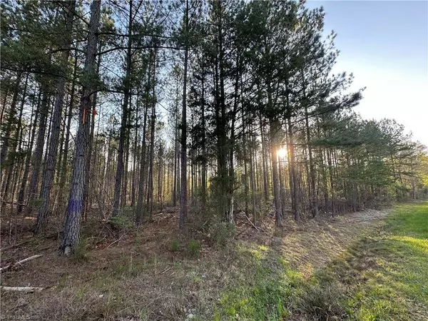 0 Nc Highway 47, Denton, NC 27239