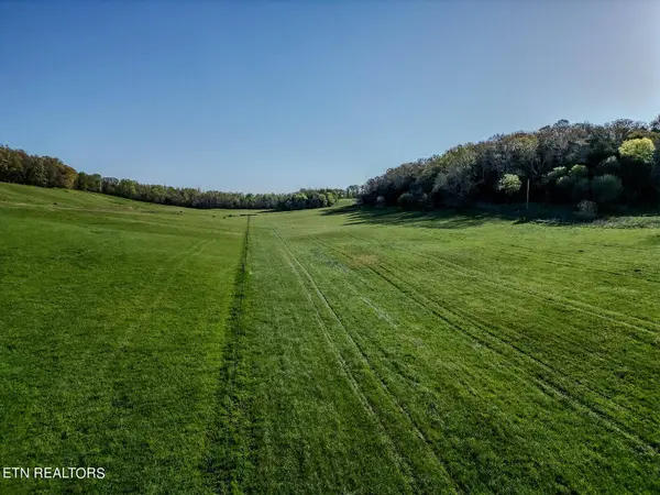 3110 Salem Rd, Parrottsville, TN 37843