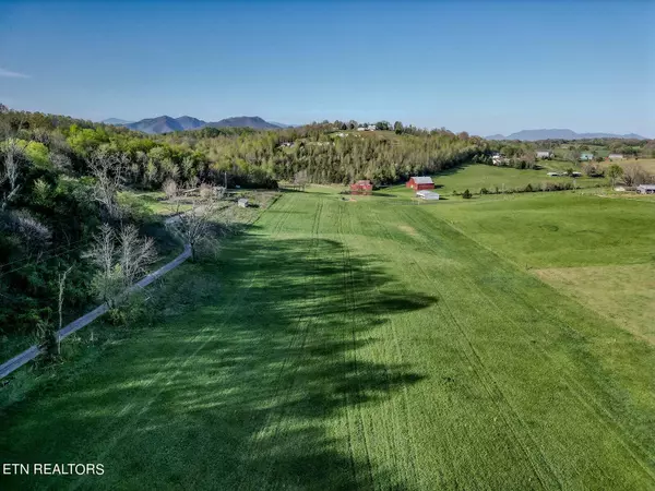 3110 Salem Rd, Parrottsville, TN 37843