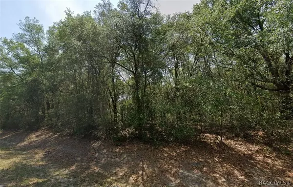 2124 W Magenta DR, Citrus Springs, FL 34434