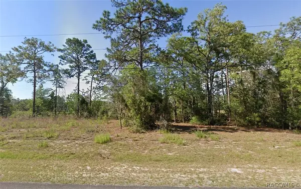 397 W Homeway LOOP, Citrus Springs, FL 34434