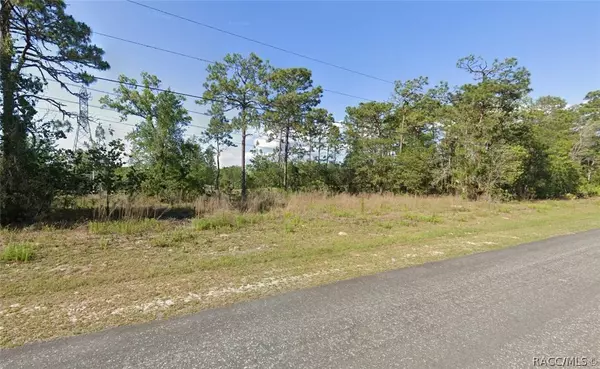 397 W Homeway LOOP, Citrus Springs, FL 34434