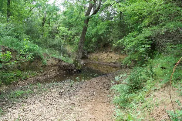 TBD St Delight, Paige, TX 78659