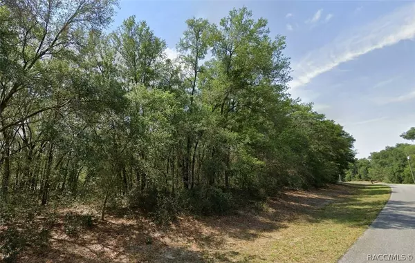 2124 W Magenta DR, Citrus Springs, FL 34434