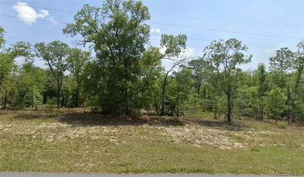 1761 W G Martinelli BLVD, Citrus Springs, FL 34434