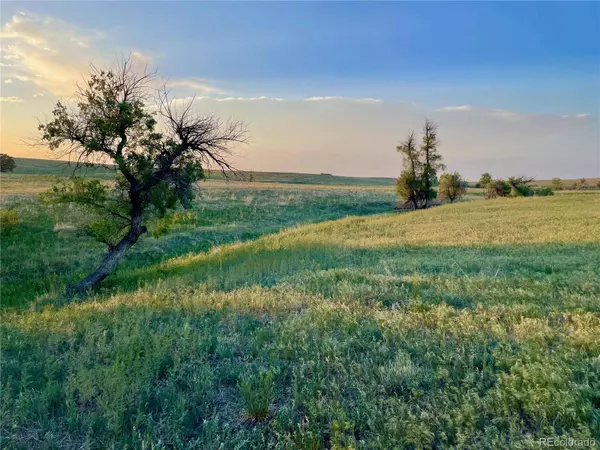 0 Lot 34 Quietude LN, Kiowa, CO 80117