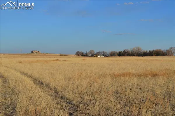 LOT 3 J D Johnson RD, Peyton, CO 80831