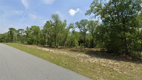 1761 W G Martinelli BLVD, Citrus Springs, FL 34434