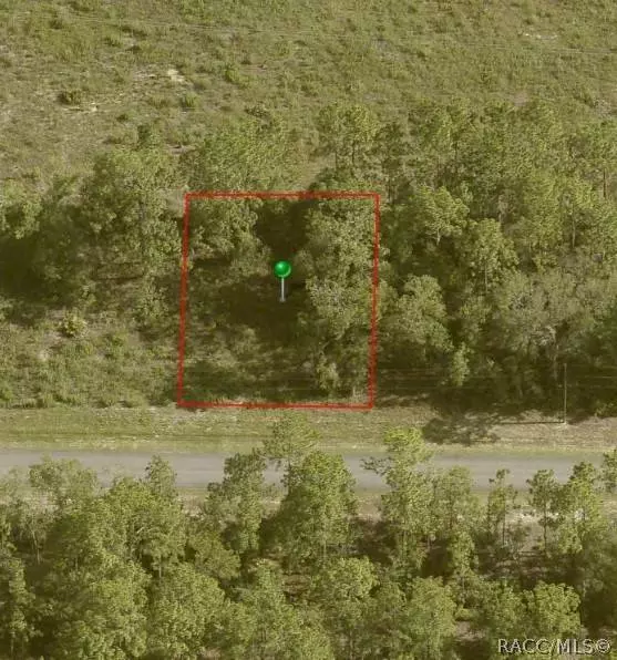 397 W Homeway LOOP, Citrus Springs, FL 34434