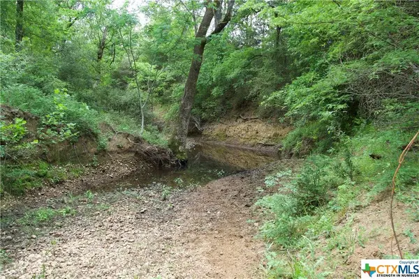 TBD Saint Delight Rd (Tract 10), Paige, TX 78659