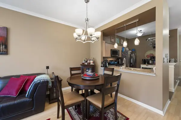 295 Glen Leven Court #295, Schaumburg, IL 60194