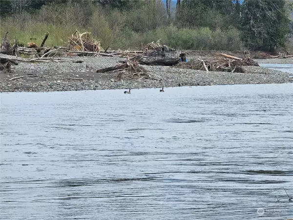 130 Hillbilly DR, Randle, WA 98377