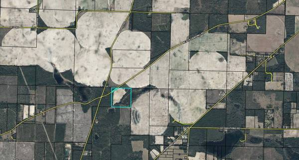 000 NEALS LANDING RD, Bascom, FL 32423