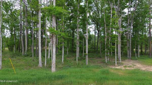 0 Patriotic Circle, Brandon, MS 39047