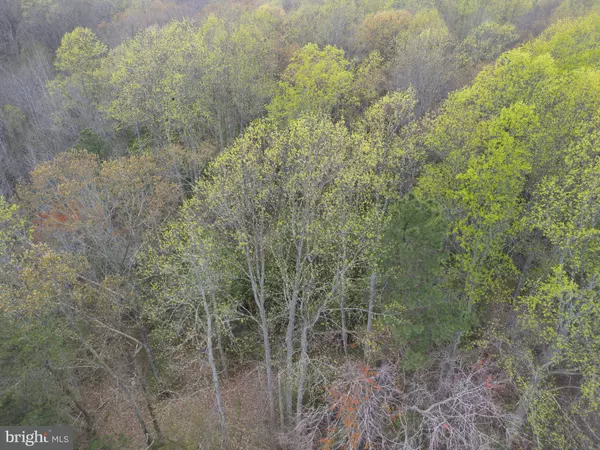 1509 HUSTLE RD, Hustle, VA 22476