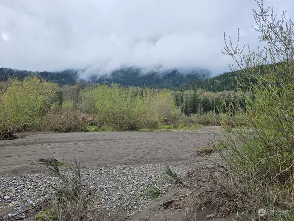 130 Hillbilly DR, Randle, WA 98377