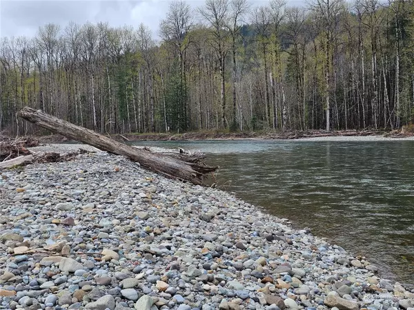 130 Hillbilly DR, Randle, WA 98377