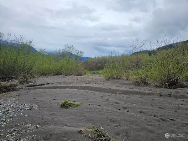 130 Hillbilly DR, Randle, WA 98377