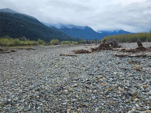 130 Hillbilly DR, Randle, WA 98377