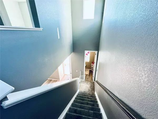 5337 Warrior ST, Frederick, CO 80504