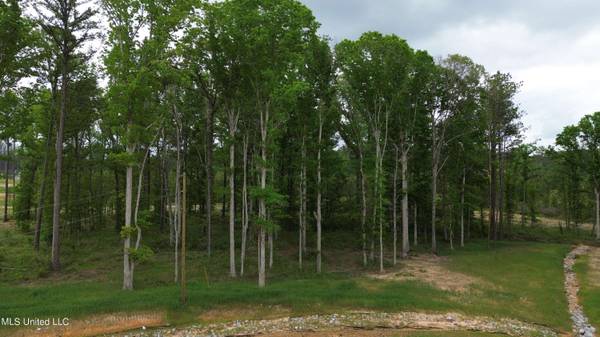 0 Patriotic Circle, Brandon, MS 39047