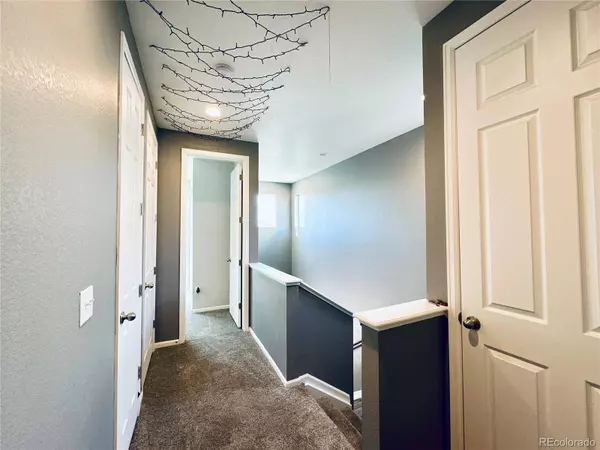 5337 Warrior ST, Frederick, CO 80504