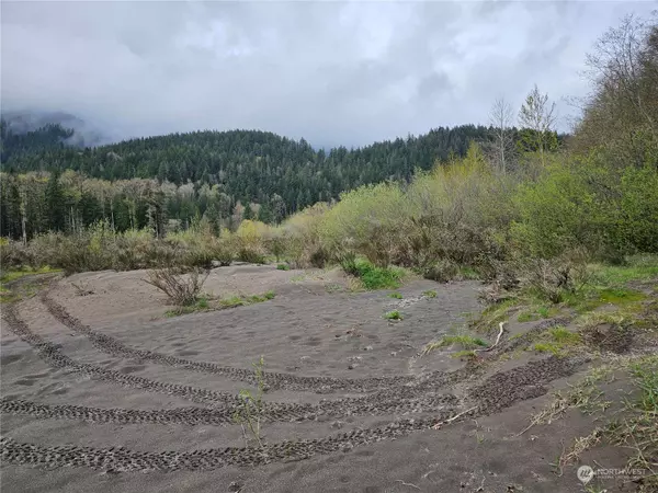 130 Hillbilly DR, Randle, WA 98377