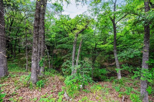 635 Sleepy Hollow Lane, Valley View, TX 76272