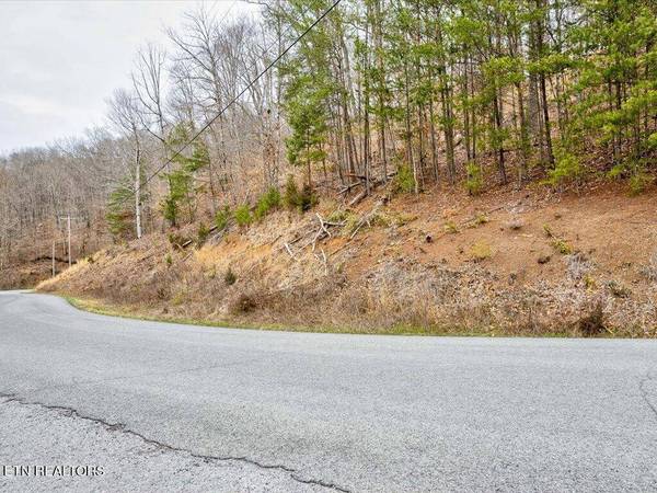 Lot 23 Mountain Shores Rd, New Tazewell, TN 37825